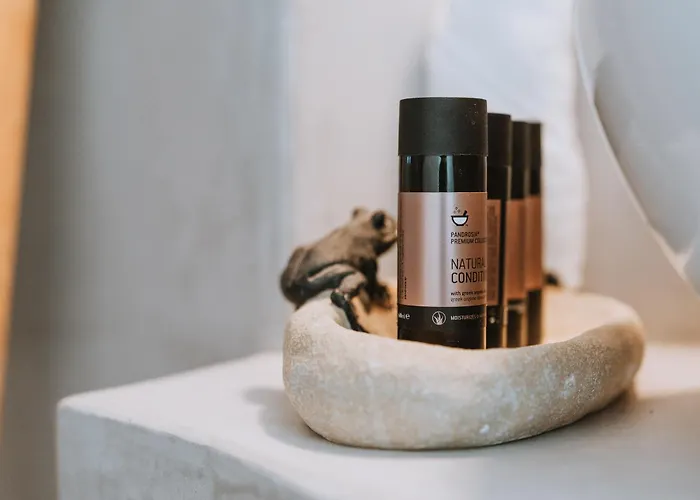 Cycladic Wine Press House * Alikí